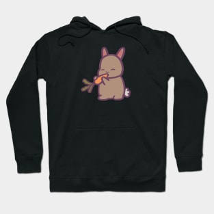 Cute Bunny Rabbit Eating a Carrot Hoodie